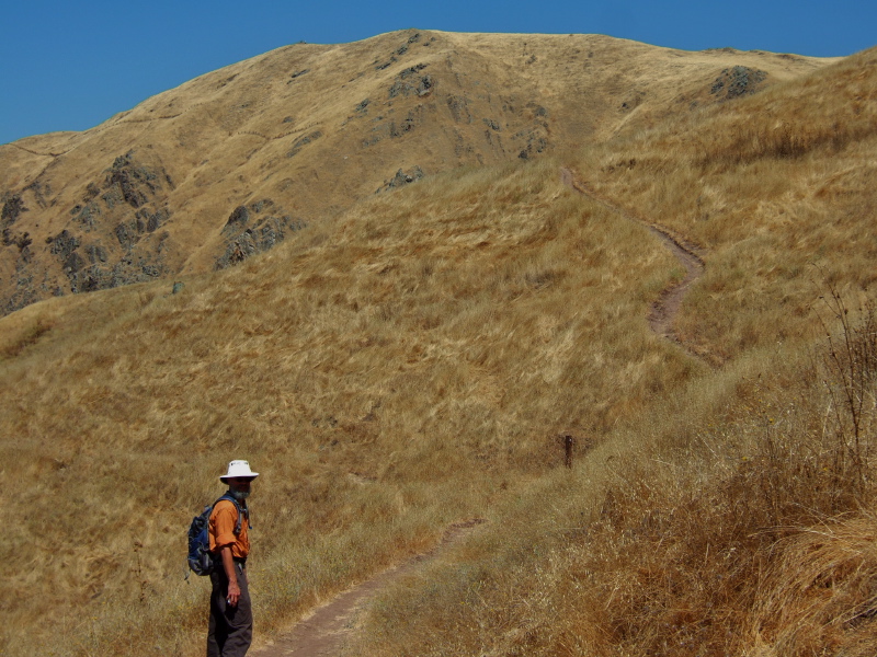 Frank heads up the Horse Heaven Trail.