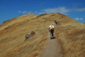 Final southeastern approach to the summit of Mission Peak