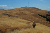 David climbs the last few hundred yards to the summit.