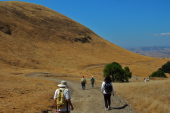 The group descends to the backpacker's camp on the Eagle Peak Trail.