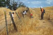 Marty and Michi squeeze under a barbed wire fence along what is probably the most poorly-marked trail in the EBRPD.
