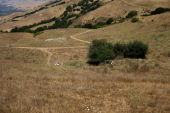 Bill marches up the trail.