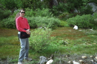 Previous