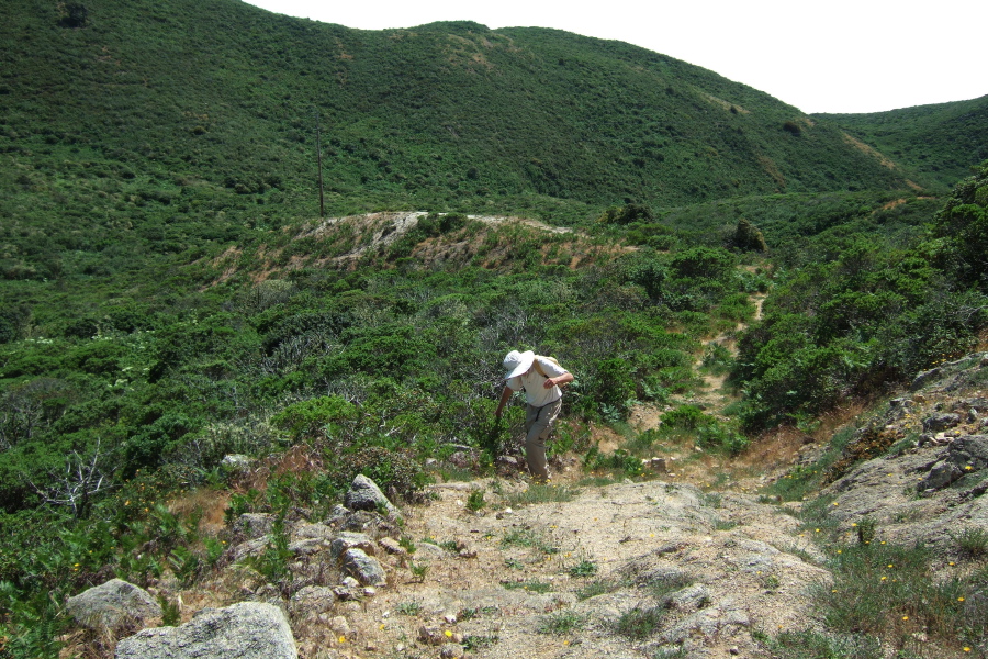 David struggles back up the use trail from South Peak.