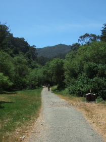Montara Mountain summit from the Trout Farm Trail