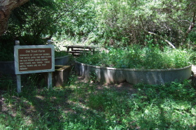 Trout Farm tanks