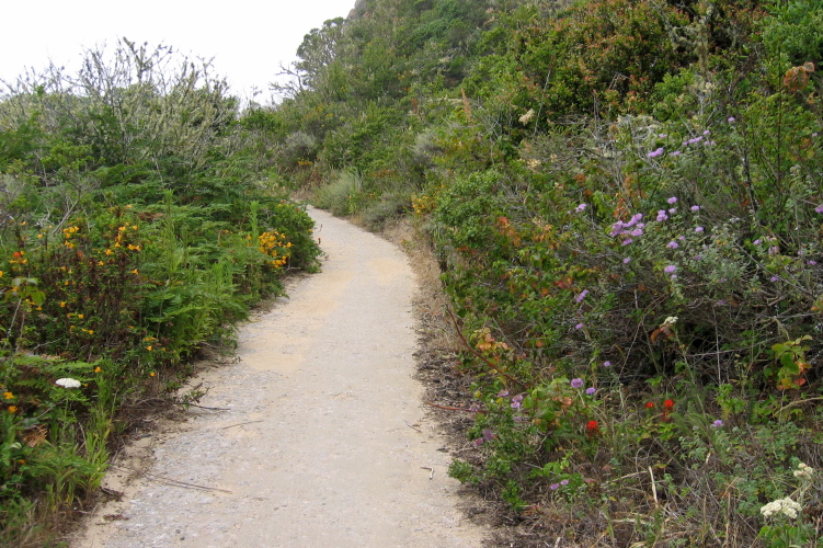 Even the poison oak is colorful. (800ft)