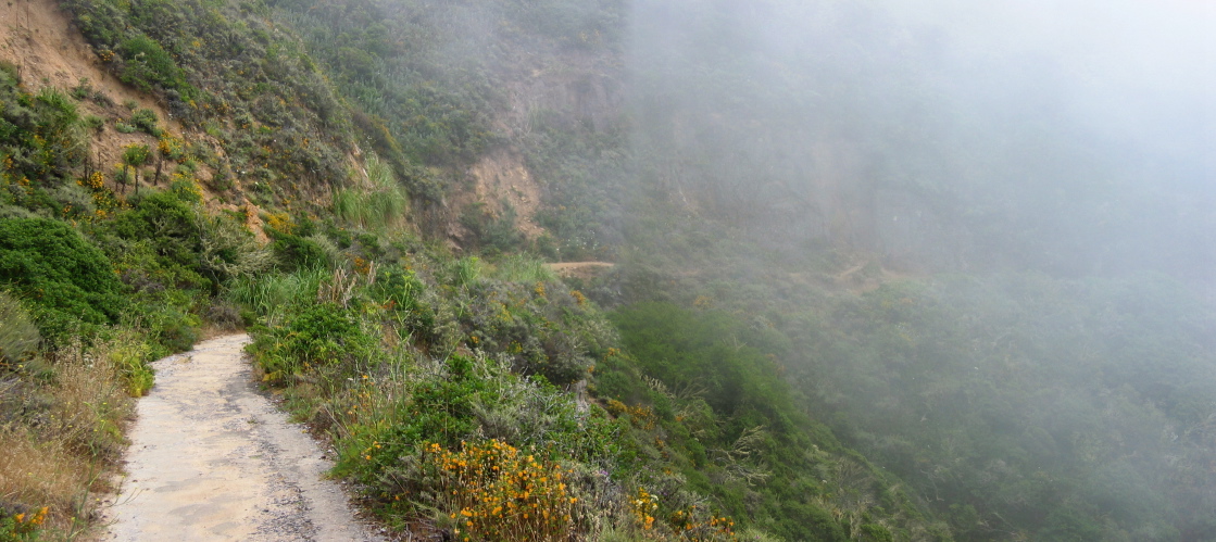 San Pedro Mountain Rd. in the fog. (750ft)