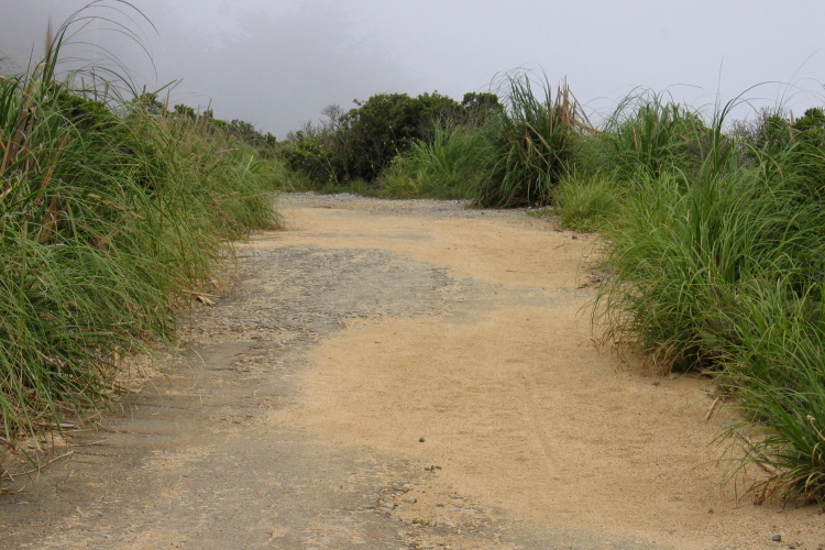 Descending San Pedro Mtn. Rd. toward McNee Ranch into the fog. (590ft)