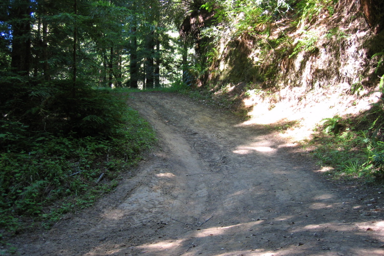 One of the steeper sections of the Borden Hatch Mill Trail. (1000ft)