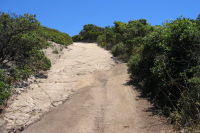Montara Mountain Rd. crosses bedrock. (1500ft)