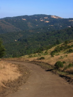 Black Mountain (2810ft) from Spring Ridge Trail (1690ft)