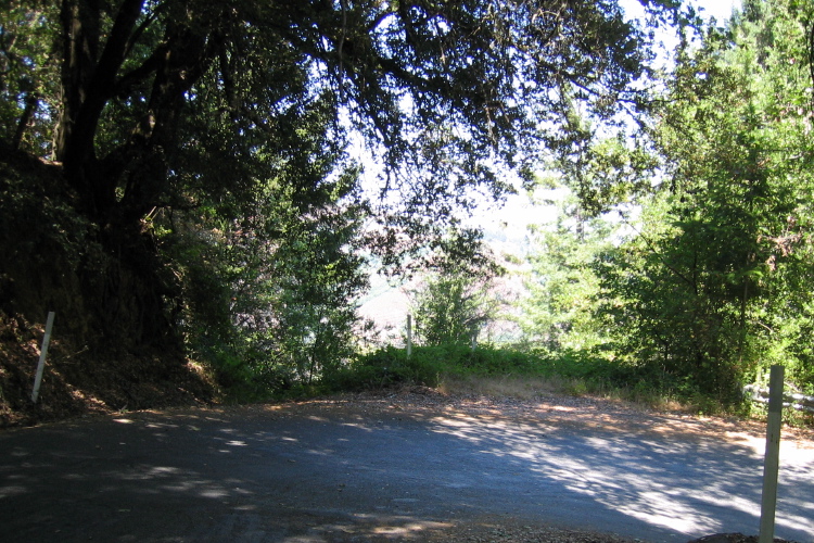 One of eight hairpin turns on Gist Rd. (2060ft)