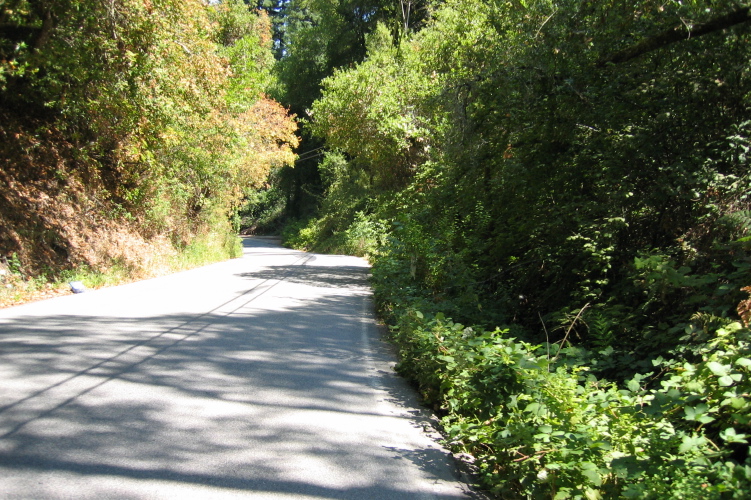 Descending through the narrows on Black Rd. (1380ft)