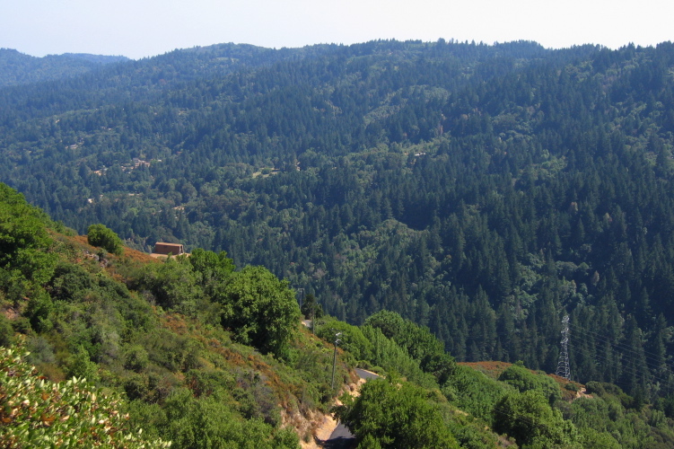 View from Bohlman Rd. across Lyndon Canyon to Skyline ridge. (2500ft)