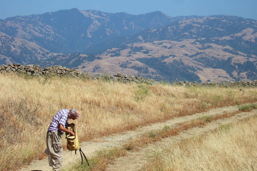David stops on Monument Peak Road.