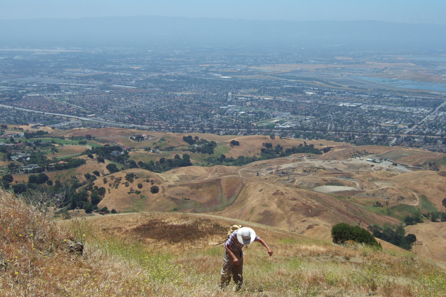 David struggles up the steepest section of trail.