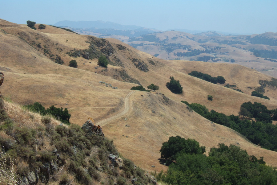 Mt. Hamilton lies in the distance.