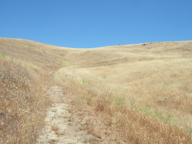 View up the trail (1)
