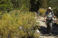 Bill and Stella press up the trail.