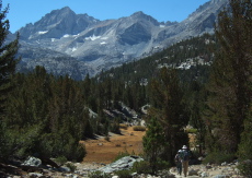 Frank and Stella head down into the valley near Marsh Lake.