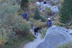 Stella meets a friendly black lab on the final mile.