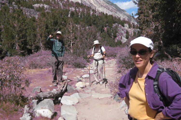 How shall we escape the purple fungus?