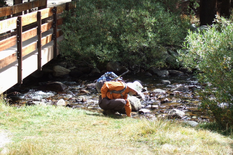 Frank dips his hand into Rock Creek at Mosquito Flat.