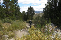 The odd, green be-hatted creature trudges up the trail.