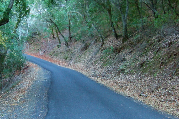 North side of Morgan Territory Rd.