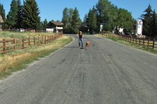 Kumba chases me on the bike (and pulls Laura).