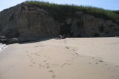 On the beach (2).