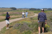 On the Ohlone Bluffs.
