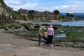 Kay, David, and Laura examine a starfish in one of the pools.