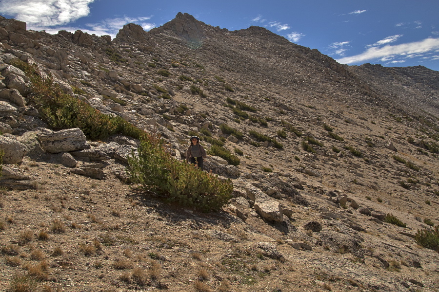 Stella starts up the plateau between Mt. Conness and White Mountain (in the background).