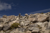 Bill leads the way up the Conness plateau.