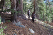 Stella and Frank follow the faint use trail between Saddlebag Lake and Hall Valley.