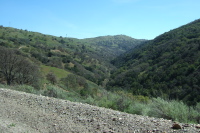 View up Arroyo Mocho