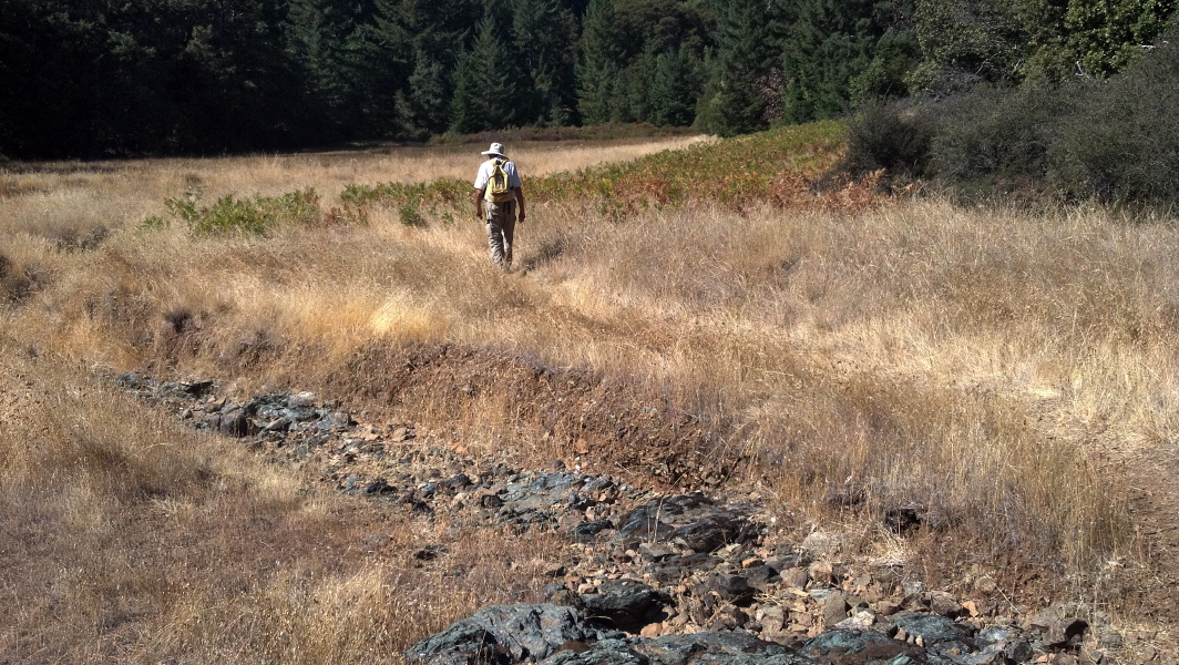 David presses through Potrero Meadow