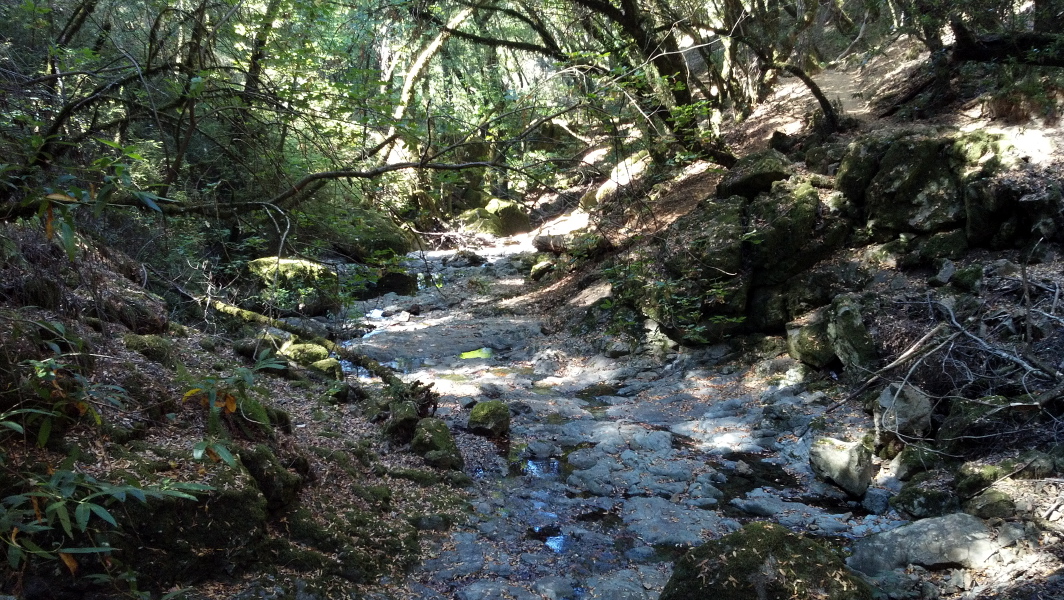 Cataract Creek
