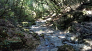 Cataract Creek