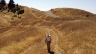David climbs Laurel Dell Road to Ridgecrest Road.