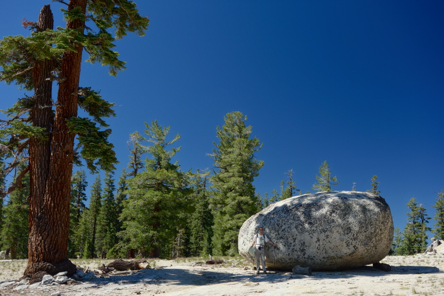Bill stands before a glacial erratic.