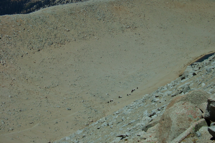 A pack train makes it's way over Mono Pass far below.