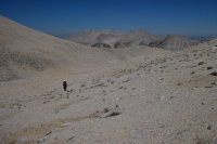 Previous