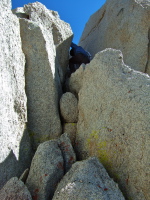 Frank is mid-way up.
