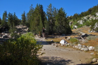Bill waits at the junction of Morgan Pass/Mono Pass trails.