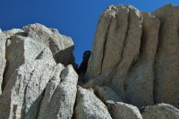 Frank has climbed as far as he can.