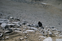 Bill tries to make a beeline for the use trail that can be seen below.