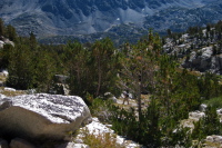 David trudges up the trail to Mono Pass.